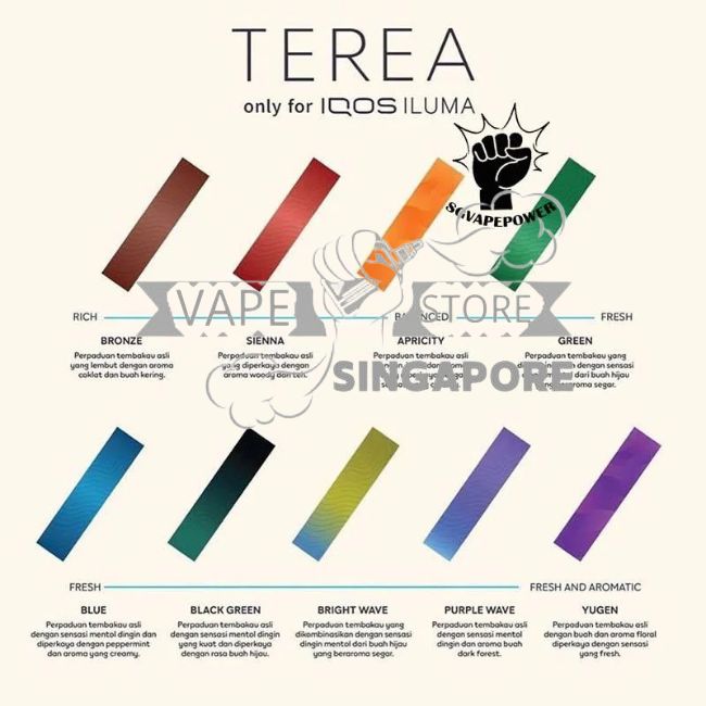 sg-vape-online-iqos-terea